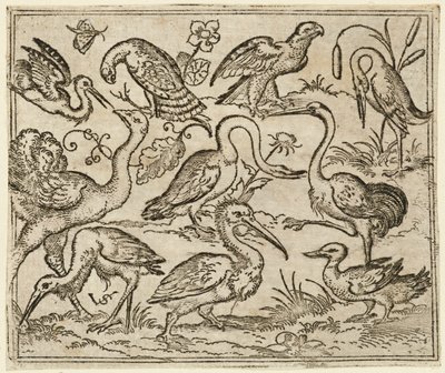 Avestruz do lado esquerdo com outras nove aves, incluindo uma garça e um pelicano..., 1557. de Virgil Solis