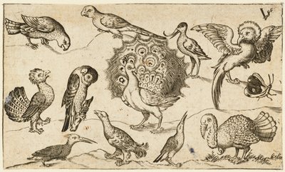 Pavão no centro cercado por outros nove pássaros, incluindo um peru e uma borboleta..., 1572. de Virgil Solis