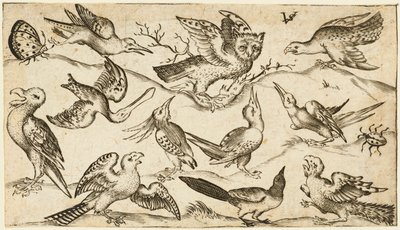 Onze pássaros e dois insetos em terreno mínimo com coruja com asas estendidas sentada em um galho no centro com outras aves rodeando e provocando a coruja, do álbum Douce Ornament Prints Álbum I, após 1572 (gravura sobre papel avergoado) de Virgilius the elder (after) Solis