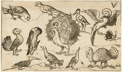 Pavão no centro rodeado por outras nove aves, incluindo um peru, e uma borboleta num terreno mínimo com um pequeno pedaço de relva, de Douce Ornament Prints Album I de Virgilius the elder (after) Solis