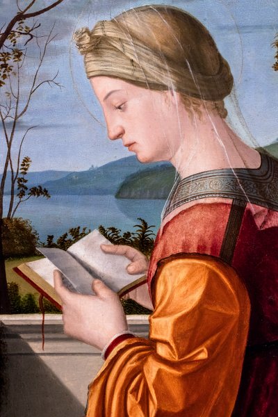 A Virgem lendo, cerca de 1505-1510 (óleo sobre madeira) de Vittore Carpaccio