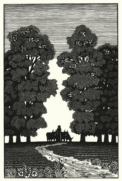 Ilustração para Tess Of The DUrbervilles de Thomas Hardy (gravura) de Vivien Gribble