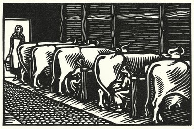 Ilustração para Tess Of The DUrbervilles de Thomas Hardy (gravura) de Vivien Gribble