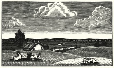 Ilustração para Tess Of The DUrbervilles de Thomas Hardy (gravura) de Vivien Gribble