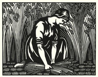 Ilustração para Tess Of The DUrbervilles de Thomas Hardy (gravura) de Vivien Gribble