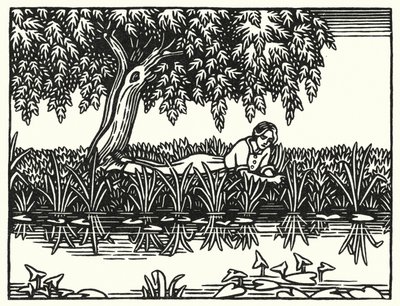 Ilustração para Tess Of The DUrbervilles de Thomas Hardy (gravura) de Vivien Gribble