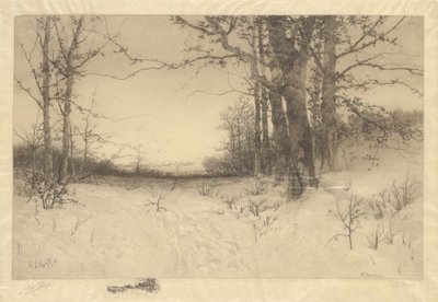 Solstício de inverno de W.C. Bauer