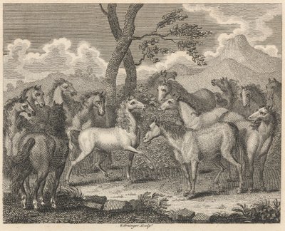 O Conselho de Cavalos de W. Grainger