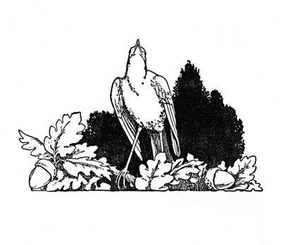 Entre os galhos habitavam um rouxinol, c1930 de William Heath Robinson