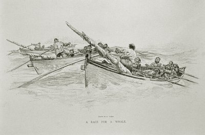 A Race for a Whale