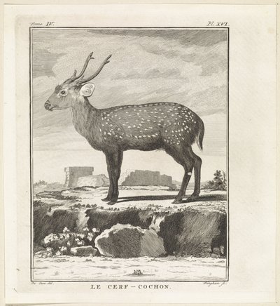 Hert
Le Cerf-Cochon (título sobre o objecto) de W. Tringham