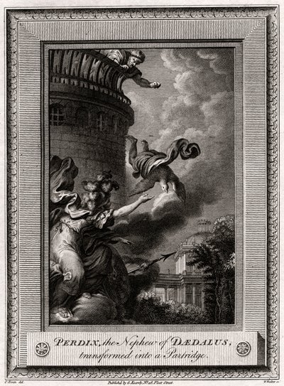 Perdix, sobrinho de Dédalo, transformado em perdiz, 1774 de W. Walker