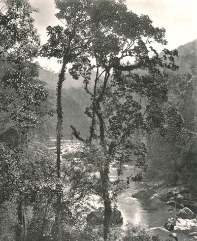 Vista do rio Kelani, Kurunegala, Ceilão, 1895. de W and S Ltd