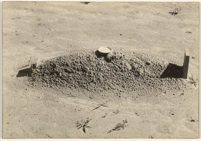 Sepultura de um Batista, Condado de Hale, Alabama de Walker Evans