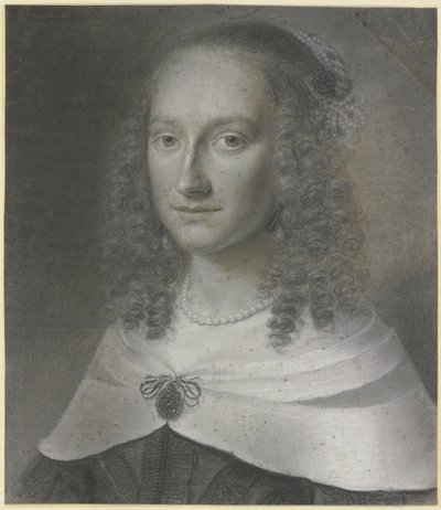  de Wallerant Vaillant