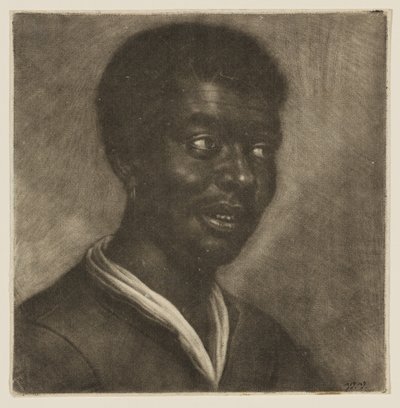  de Wallerant Vaillant