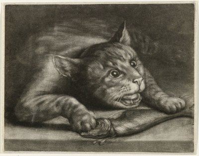 Gato com um peixe de Wallerant Vaillant
