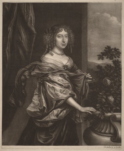 de Wallerant Vaillant