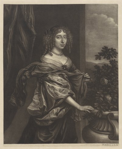 Retrato de uma mulher perto de uma roseira de Wallerant Vaillant