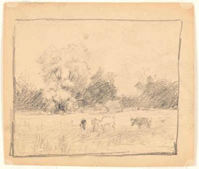 Paisagem de Walter Clark