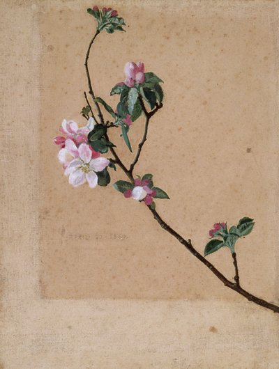 "Apple Blossom", 1869 de Walter Crane