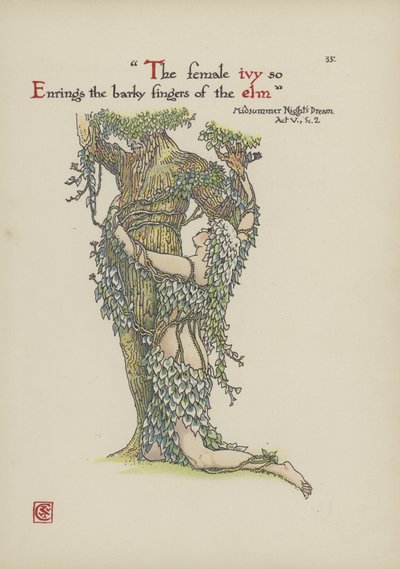 Flores do jardim de Shakespeare de Walter Crane