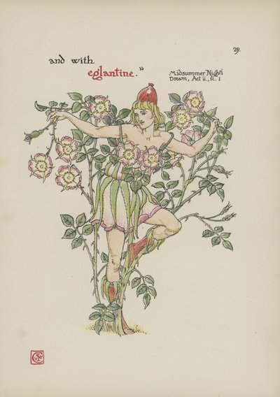 Flores do jardim de Shakespeare de Walter Crane
