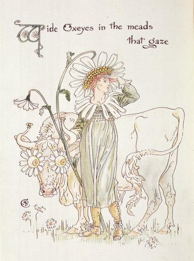 &39;Oxeyes selvagens em Meads que olham&39;, ilustração para &39;Festa de Flora, uma máscara de flores&39; de Walter Crane