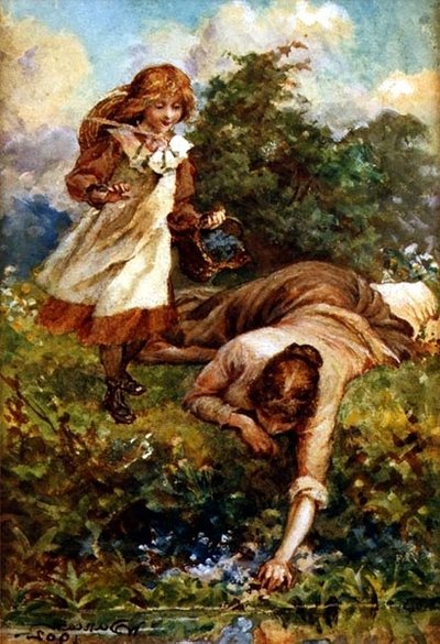 Apanhar campainhas azuis de Walter Duncan