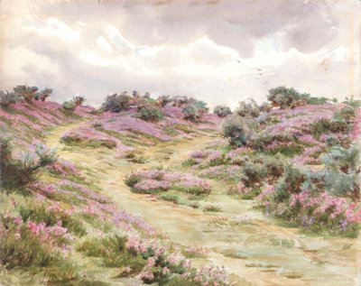 Urze de sino na planície de Setley (aguarela) de Walter Frederick Roofe Tyndale
