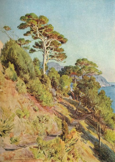 Na Villa Piuma, Sestri Levante, c1910, 1912 de Walter Frederick Roofe Tyndale