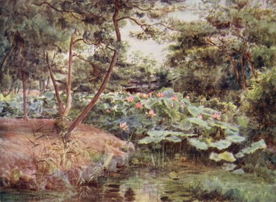 Lótus de Pinheiro e Rosa em Kofu de Walter Frederick Roofe Tyndale