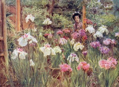 Íris do espécime de Walter Frederick Roofe Tyndale