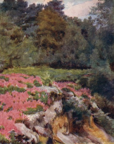 A Nova Floresta: A Gravel Pit Head at Royden (cor litho) de Walter Frederick Roofe Tyndale