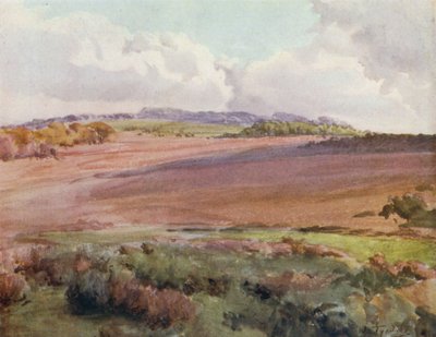 A Nova Floresta: Do outro lado do Malwood Walk from the Road to Fritham (cor litho) de Walter Frederick Roofe Tyndale