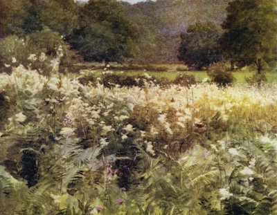 A Nova Floresta: Meadow Sweet perto de Royden (cor litho) de Walter Frederick Roofe Tyndale