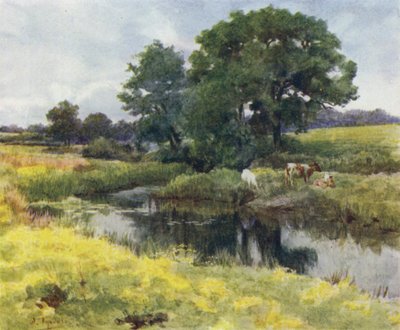 A Nova Floresta: No Rio Lymington (cor litho) de Walter Frederick Roofe Tyndale