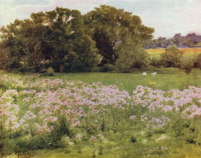 A Nova Floresta: Riversdale, Boldre (cor litho) de Walter Frederick Roofe Tyndale