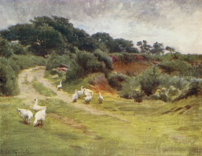 A Nova Floresta: Royden Common, perto de Brokenhurst (cor litho) de Walter Frederick Roofe Tyndale