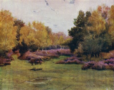 A Nova Floresta: Rushpole Wood, Lyndhurst (cor litho) de Walter Frederick Roofe Tyndale
