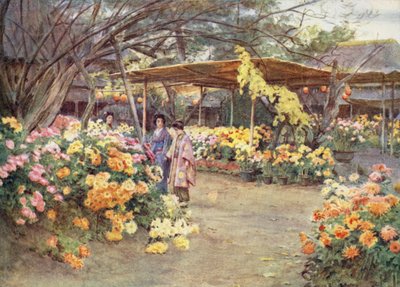Vendo crisântemos, Mukojima, Tóquio de Walter Frederick Roofe Tyndale
