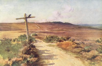 Wessex: Bere Heath no outono, com Gallows Hill à distância (litografia a cores) de Walter Frederick Roofe Tyndale