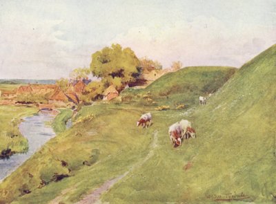 Wessex: Nas antigas muralhas de Wareham (litografia a cores) de Walter Frederick Roofe Tyndale