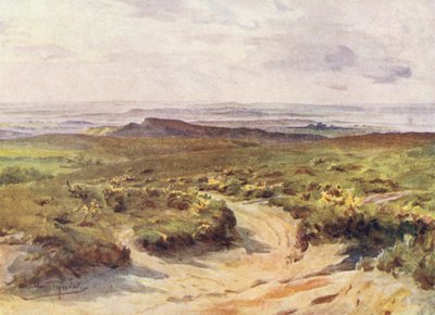 Wessex: Studland Heath, Poole Harbour à distância (litografia a cores) de Walter Frederick Roofe Tyndale