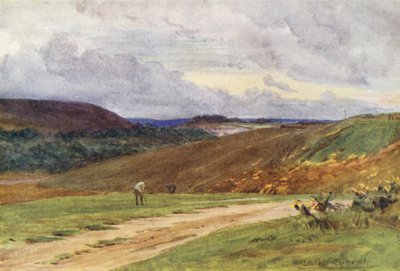 Wessex: The Broadstone Golf Links, perto de Poole (litografia a cores) de Walter Frederick Roofe Tyndale