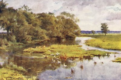 Wessex: The Frome from Bockhampton Bridge (litografia a cores) de Walter Frederick Roofe Tyndale