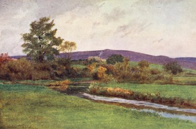 Wessex: O "Rainbarrow" do regresso do nativo (litografia a cores) de Walter Frederick Roofe Tyndale