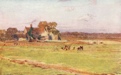 Wessex: Wool Manor House (litografia a cores) de Walter Frederick Roofe Tyndale