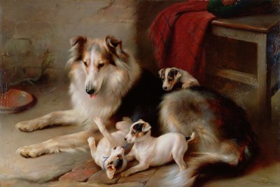 Um Collie com filhotes de Fox Terrier, 1913 de Walter Hunt