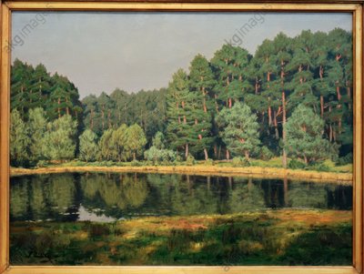 Paisagem florestal com lago em Brandemburgo de Walter Leistikow